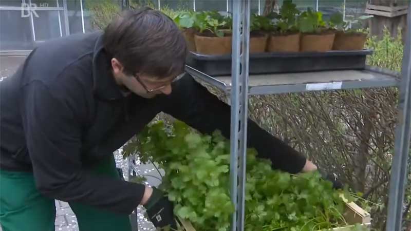 Video BR Frankenschau bei noris inklusion, Natur-Erlebnis-Gärtnerei